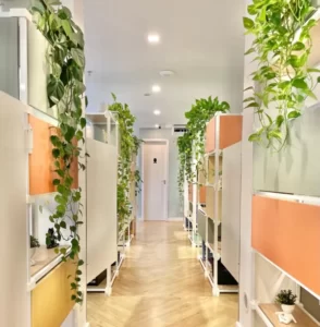 corredor do coworking br.offices